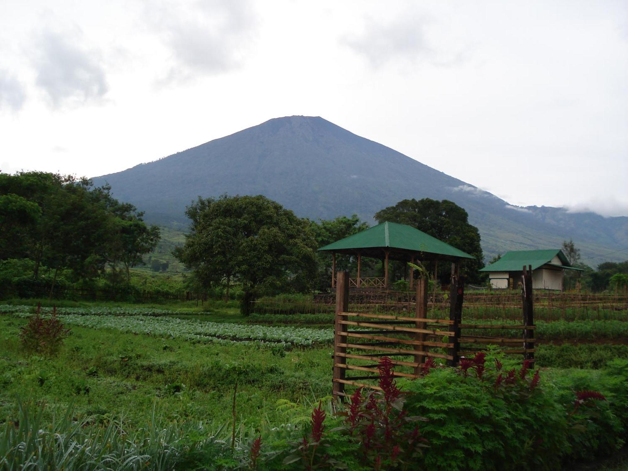 Lembah Rinjani Villa & Resto Syariah By Ecommerceloka Sembalunlawang Extérieur photo